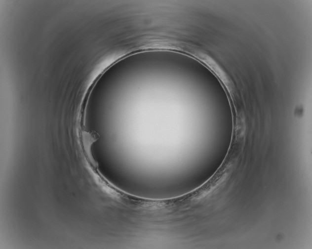 X0000097620909200802291323