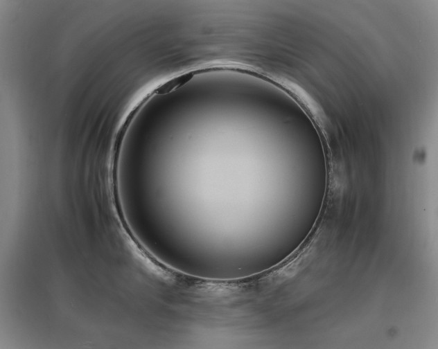 X0000097620910200802291323