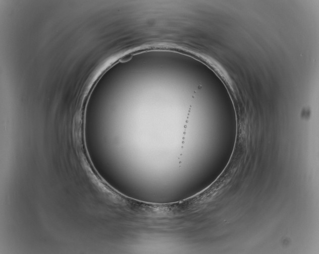 X0000097620911200802291323