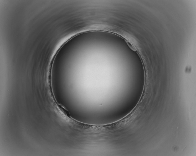 X0000097620912200802291323