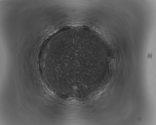 X0000097620913200802291322