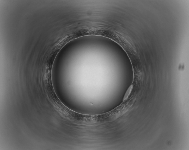X0000097620914200802291322