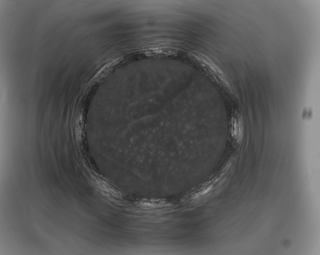 X0000097620915200802291322