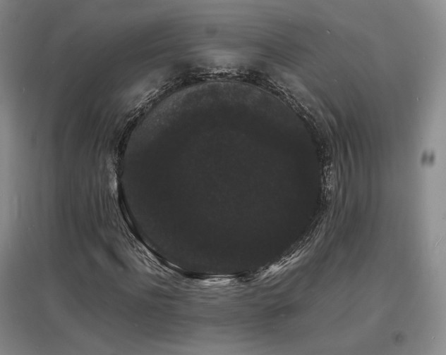 X0000097620916200802291322