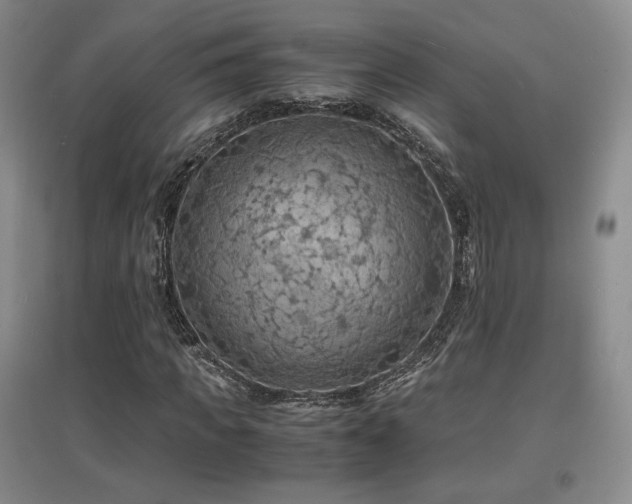 X0000097620917200802291322