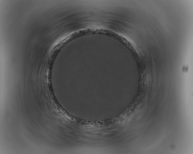 X0000097620919200802291322