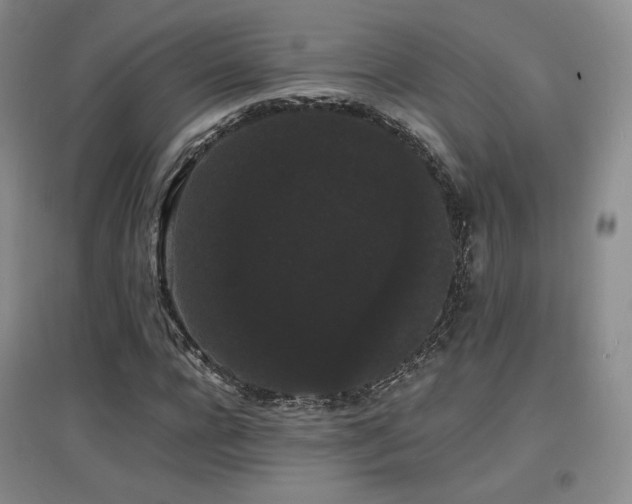 X0000097620920200802291322