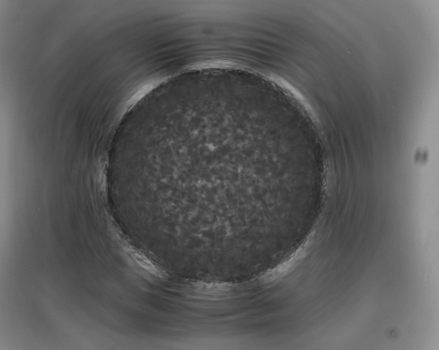 X0000097620921200802291322