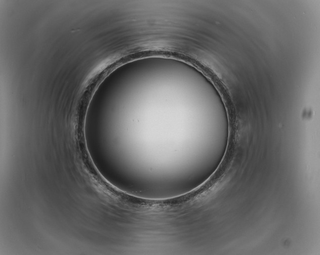 X0000097620922200802291322