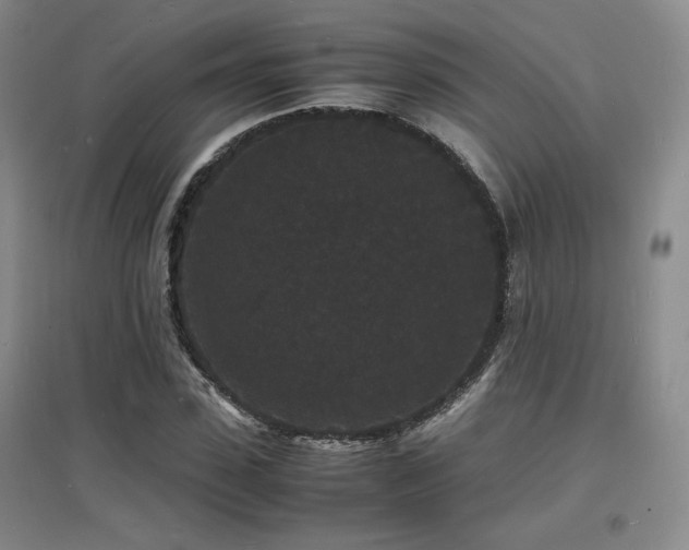 X0000097620923200802291322