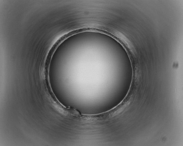 X0000097620924200802291322