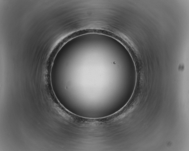X0000097620926200802291322