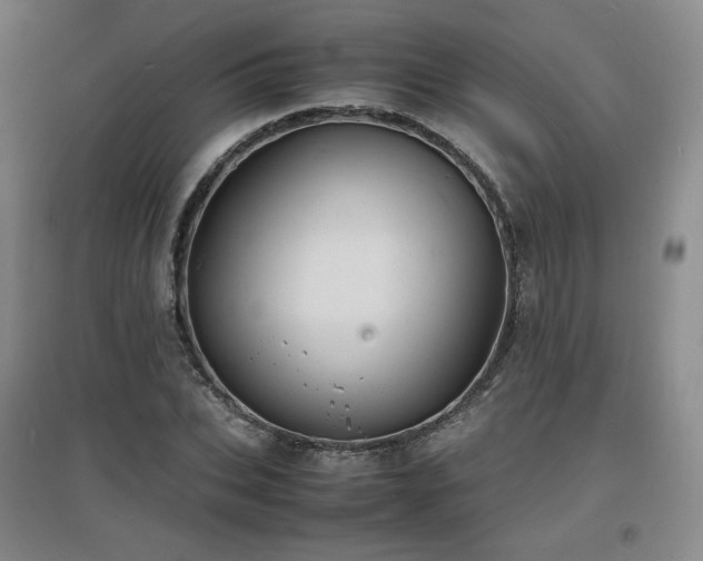 X0000097620927200802291322