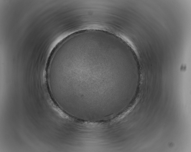 X0000097620928200802291322