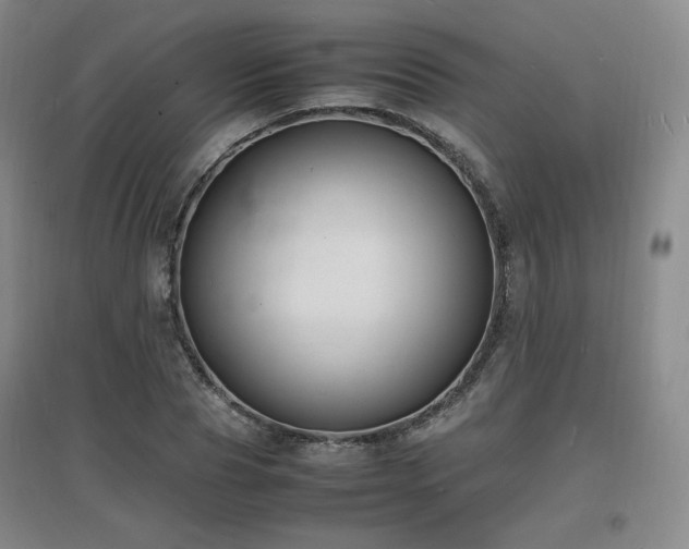 X0000097620929200802291322