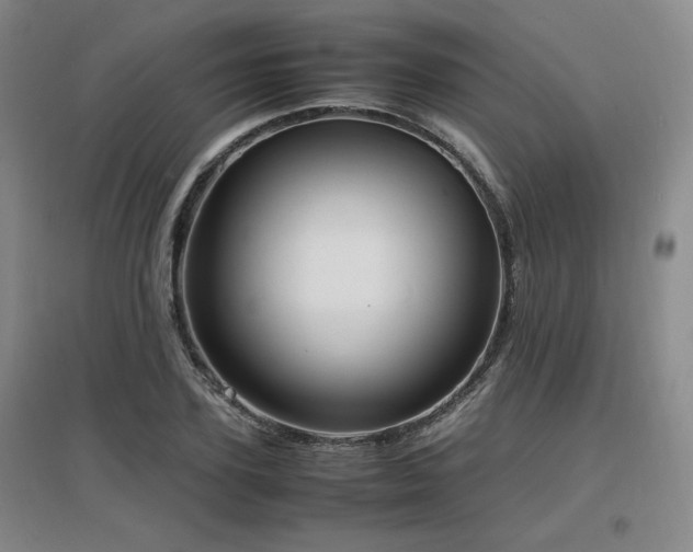 X0000097620931200802291322
