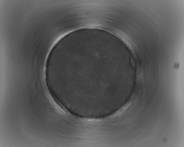 X0000097620932200802291322