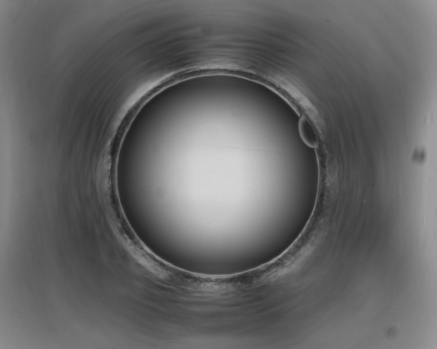 X0000097620933200802291322