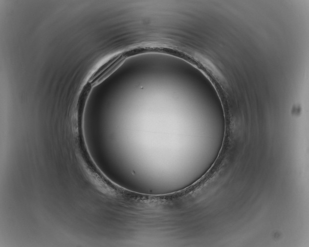X0000097620934200802291322