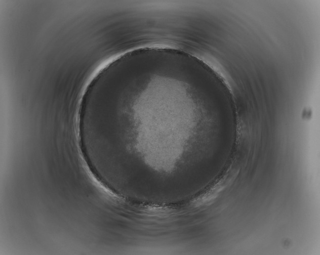 X0000097620935200802291322