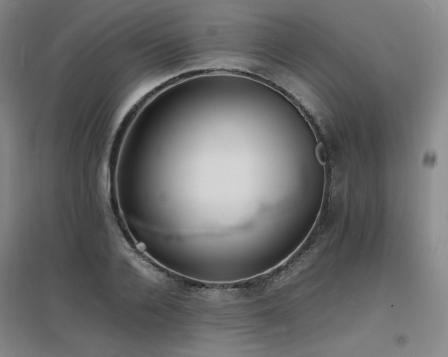 X0000097620936200802291322