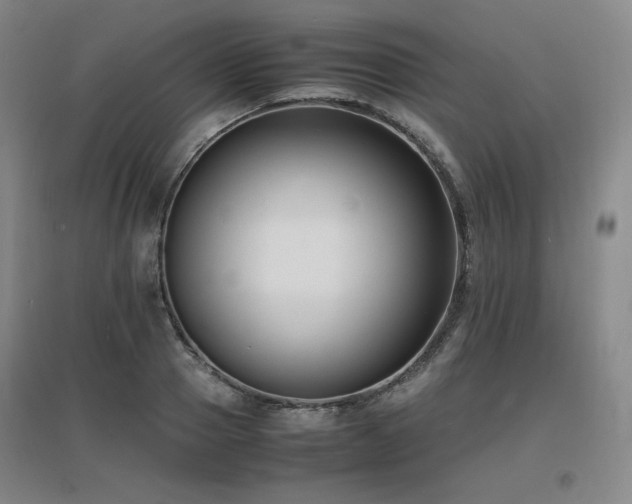 X0000097620937200802291322
