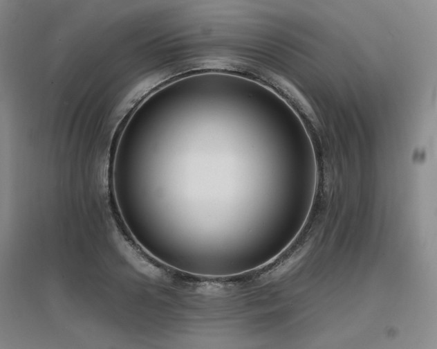 X0000097620938200802291322