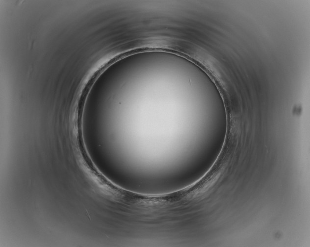 X0000097620939200802291322