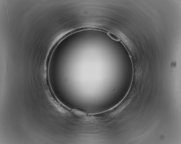 X0000097620940200802291322