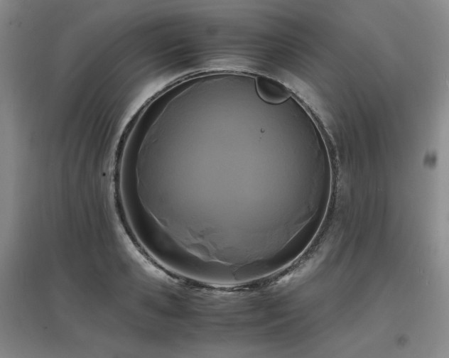 X0000097620941200802291322