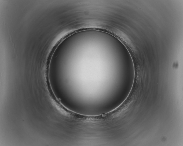 X0000097620942200802291322