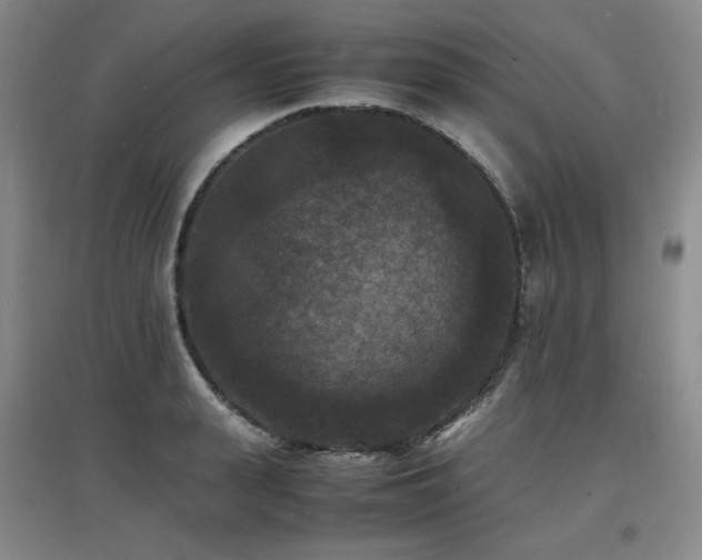 X0000097620943200802291322