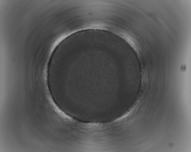 X0000097620944200802291322