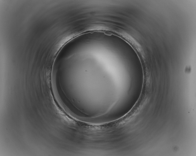 X0000097620945200802291322