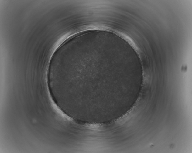 X0000097620946200802291322