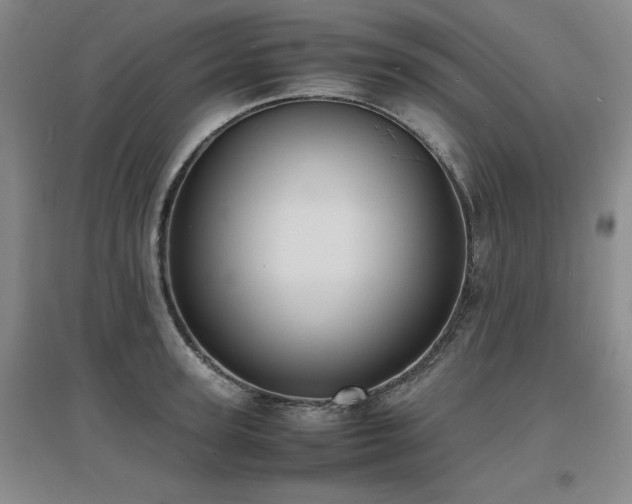 X0000097620947200802291322