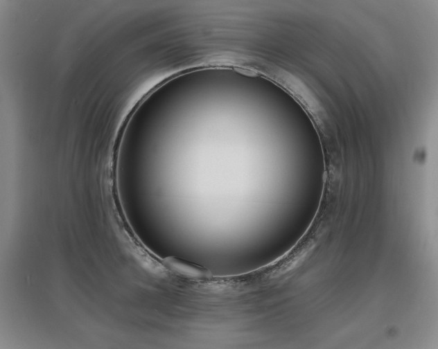 X0000097620948200802291322