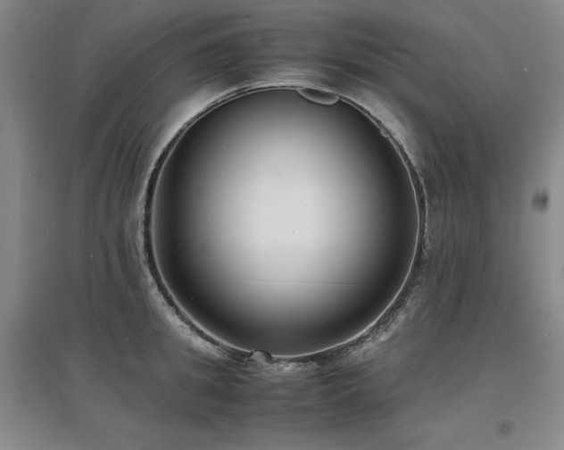 X0000097620949200802291322