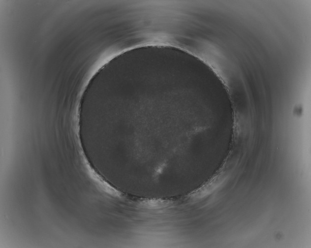 X0000097620950200802291322