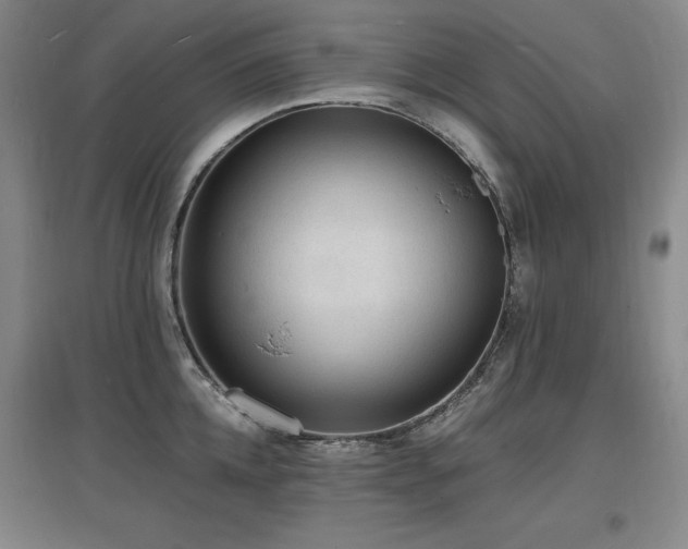 X0000097620952200802291322
