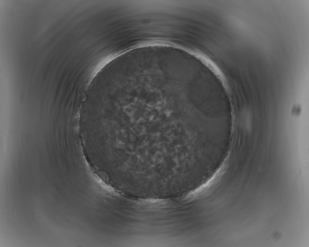 X0000097620953200802291322