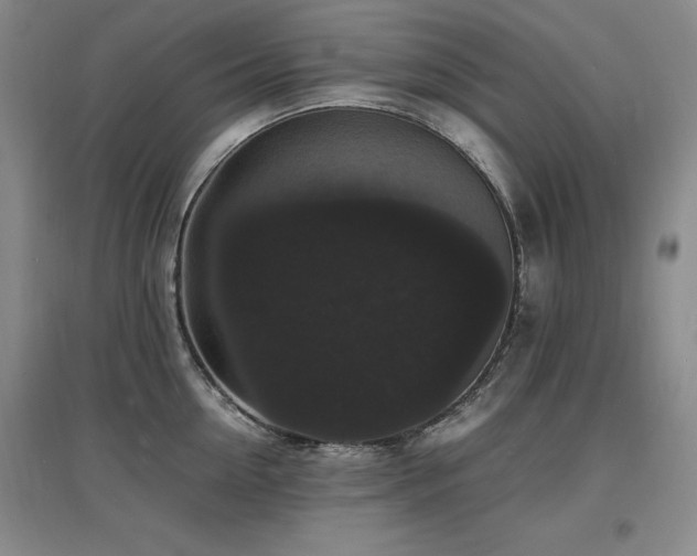 X0000097620954200802291322