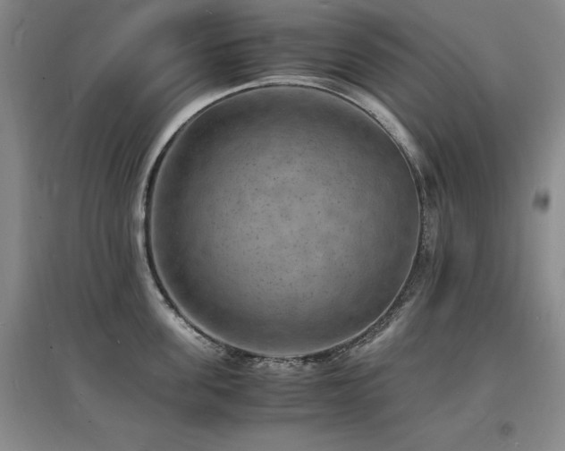 X0000097620955200802291322