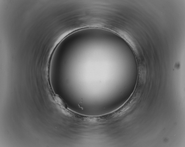 X0000097620956200802291322