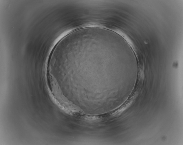 X0000097620957200802291322