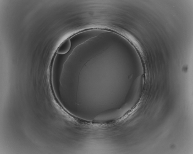 X0000097620958200802291323