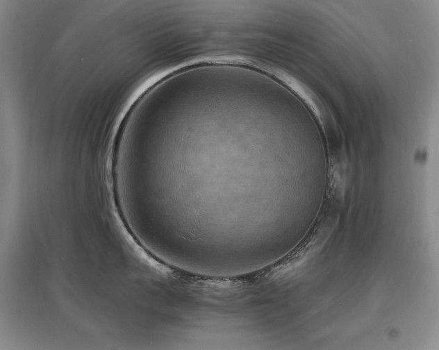 X0000097620959200802291323