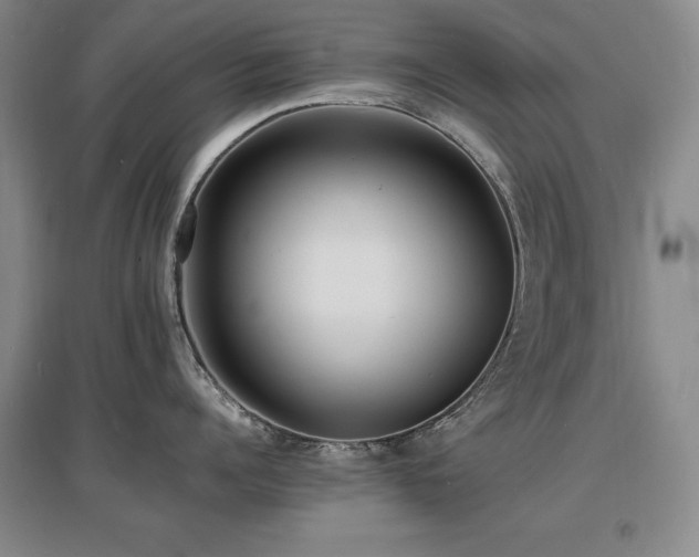 X0000097620960200802291323