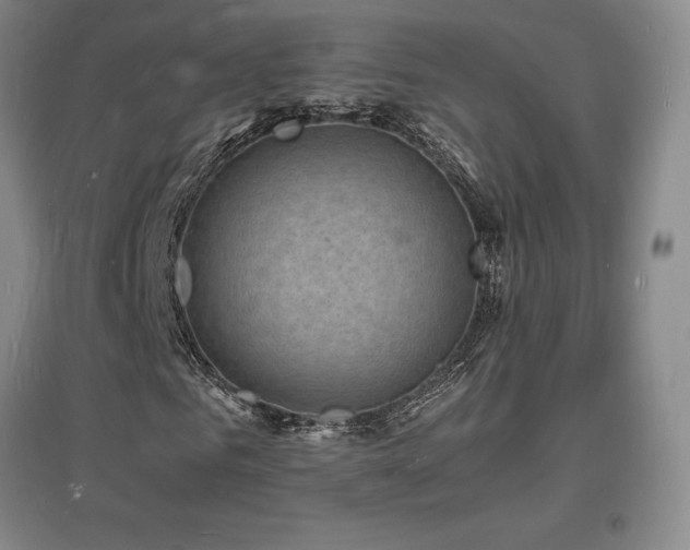 X0000097620961200802291322