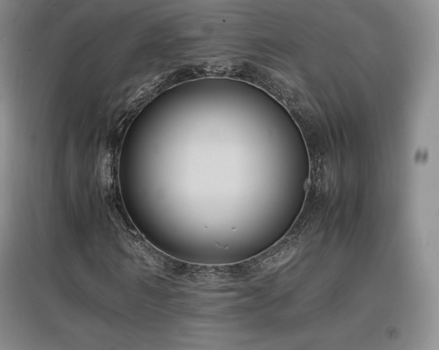 X0000097620962200802291322